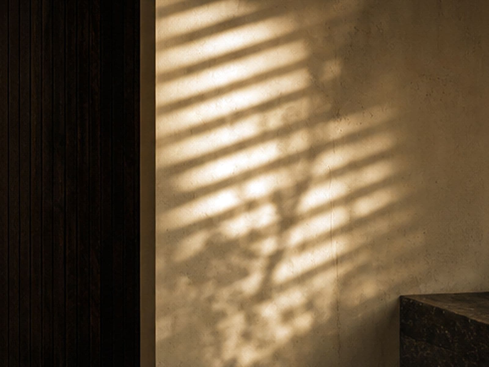Light study